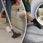 Tidak ada satu pun jejak yang tertinggal: 7 langkah untuk menghilangkan bau urine dari karpet Anda Tidak ada satu pun jejak yang tertinggal: 7 langkah untuk